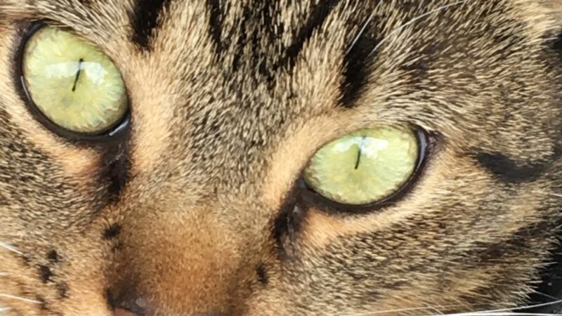 The Last Post - Falls Village, CT