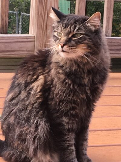 The Last Post - Falls Village, CT