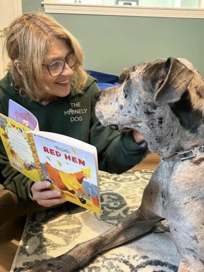 The Mainely Dog - Falmouth, ME