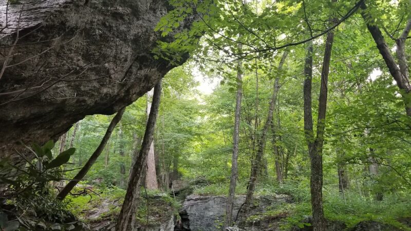 Devil’s Den Nature Preserve - Fancy Gap, VA