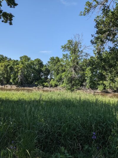 Forest River Park - Fargo, ND