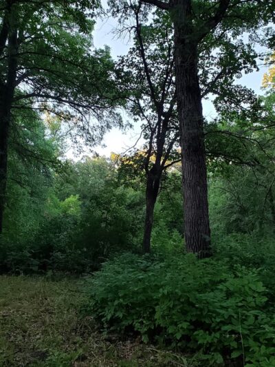 Forest River Park - Fargo, ND