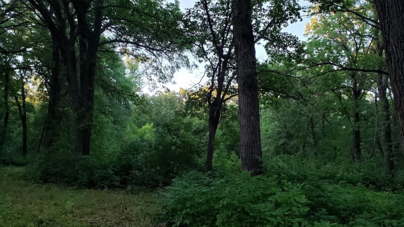 Forest River Park - Fargo, ND
