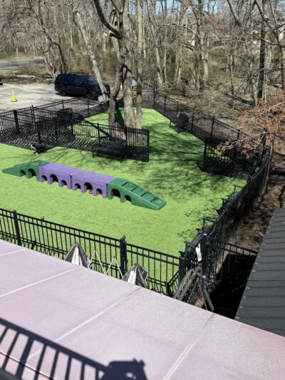 The Hungry Puppy - Farmingdale, NJ