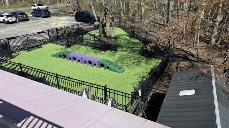 The Hungry Puppy - Farmingdale, NJ