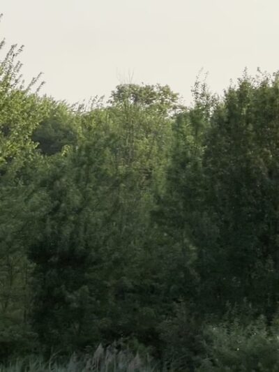 Batterson Park - Farmington, CT