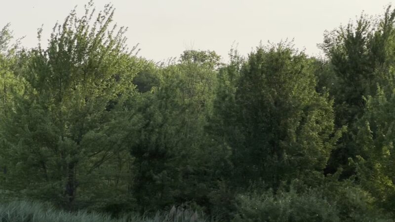 Batterson Park - Farmington, CT