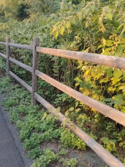 Farmington Canal Heritage Trail - Farmington, CT