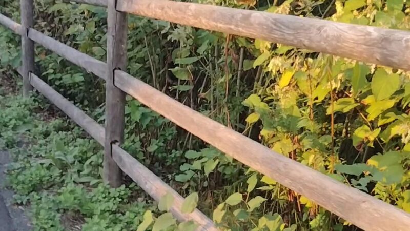 Farmington Canal Heritage Trail - Farmington, CT