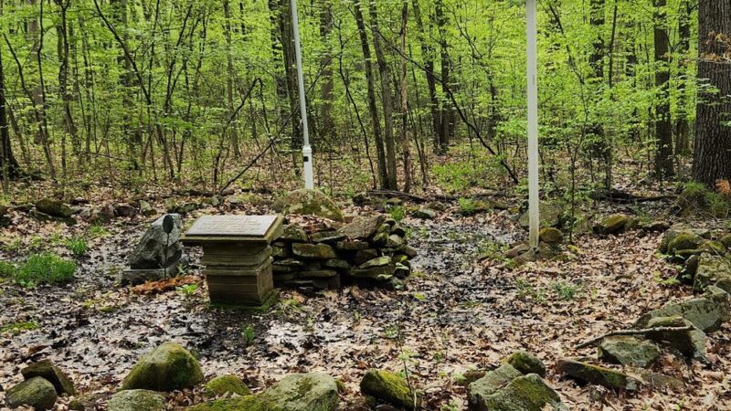 Farmington Memorial Forest - Farmington, CT