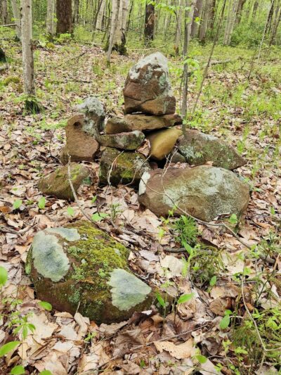 Farmington Memorial Forest - Farmington, CT