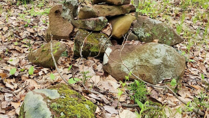 Farmington Memorial Forest - Farmington, CT