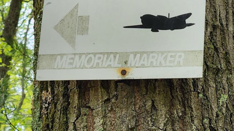 Farmington Memorial Forest - Farmington, CT