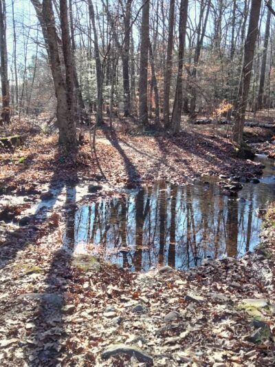 Killkenney Rocks Finger Rocks and Reservoir Loop - Farmington, CT