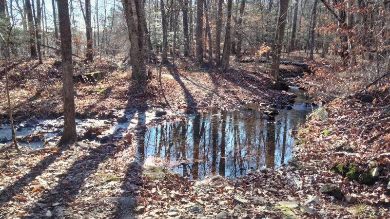 Killkenney Rocks Finger Rocks and Reservoir Loop - Farmington, CT