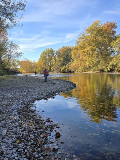 Meadow Land - Farmington, CT