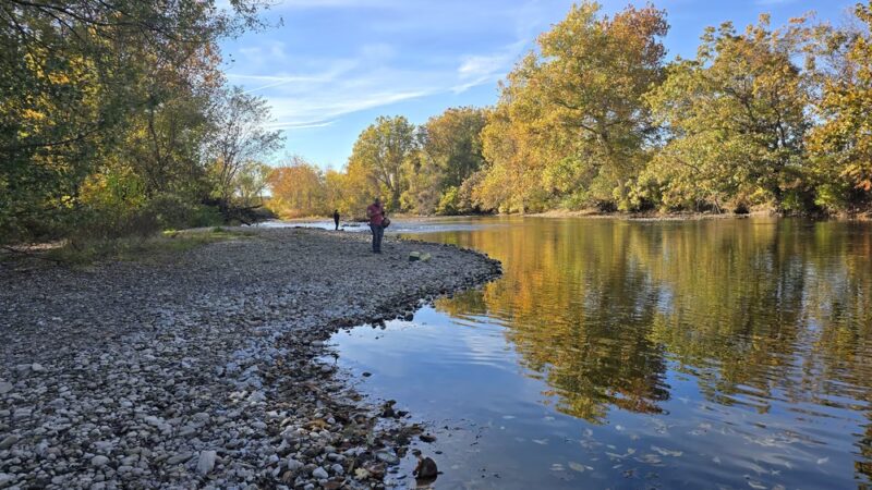 Meadow Land - Farmington, CT
