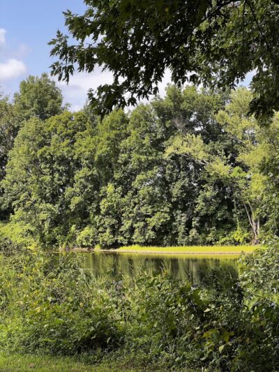 Meadow Land - Farmington, CT