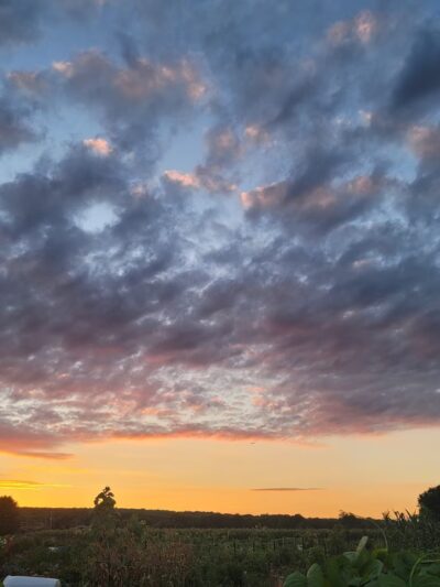 Meadow Land - Farmington, CT