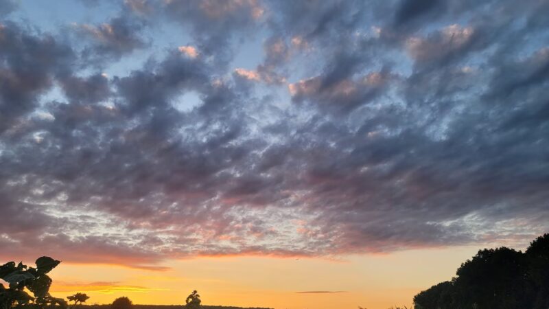 Meadow Land - Farmington, CT