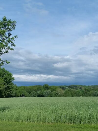 Meadow Land - Farmington, CT
