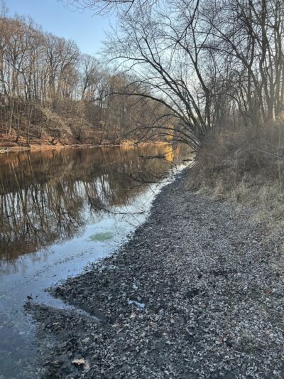 Meadow Land - Farmington, CT