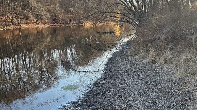 Meadow Land - Farmington, CT