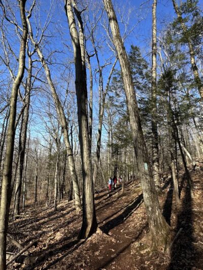 Metacomet Trail - New England National Scenic Trail - Farmington, CT