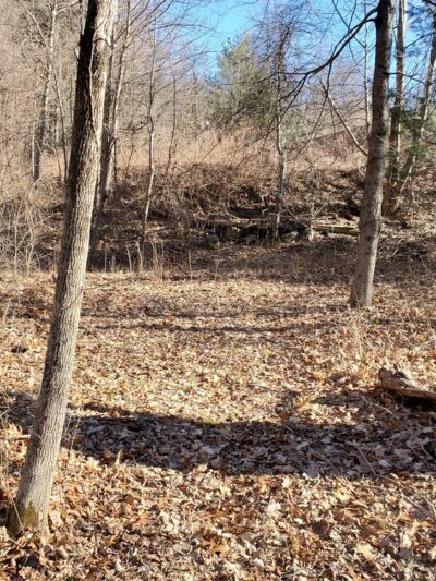 Mountain Spring Nature Trail - Farmington, CT