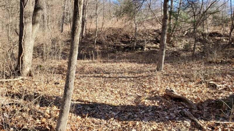 Mountain Spring Nature Trail - Farmington, CT
