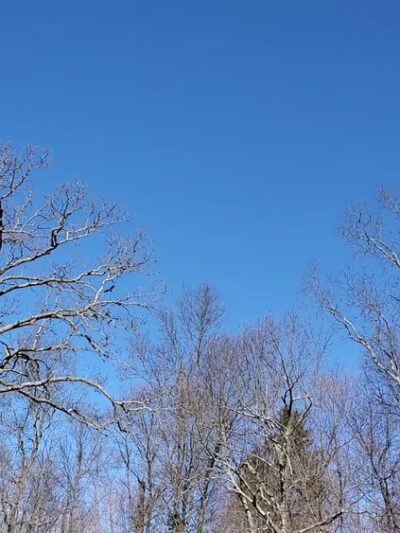 Mountain Spring Nature Trail - Farmington, CT