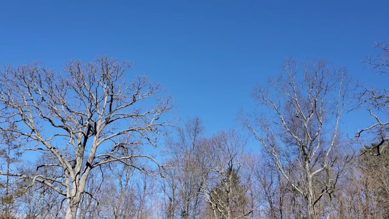 Mountain Spring Nature Trail - Farmington, CT