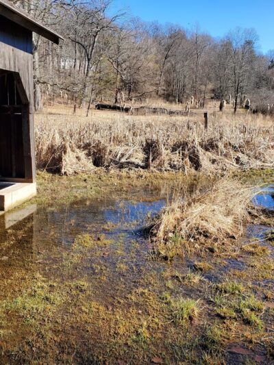 Mountain Spring Nature Trail - Farmington, CT