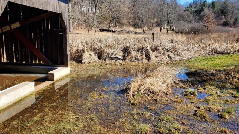 Mountain Spring Nature Trail - Farmington, CT