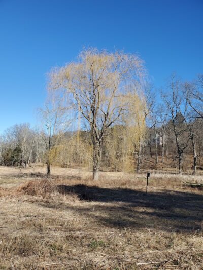 Mountain Spring Nature Trail - Farmington, CT
