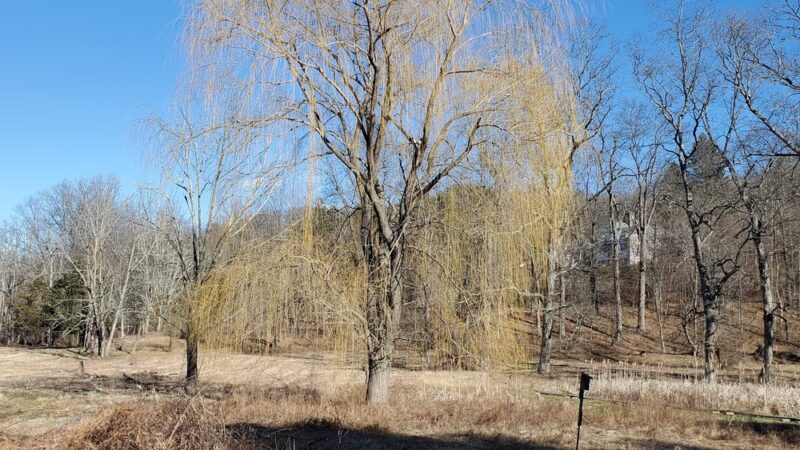 Mountain Spring Nature Trail - Farmington, CT