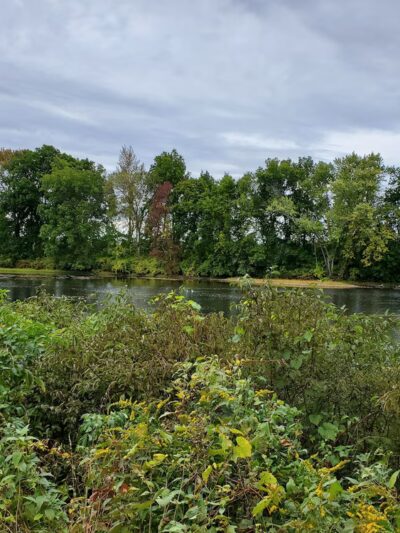 Nancy Conklin Nature Trail - Farmington, CT