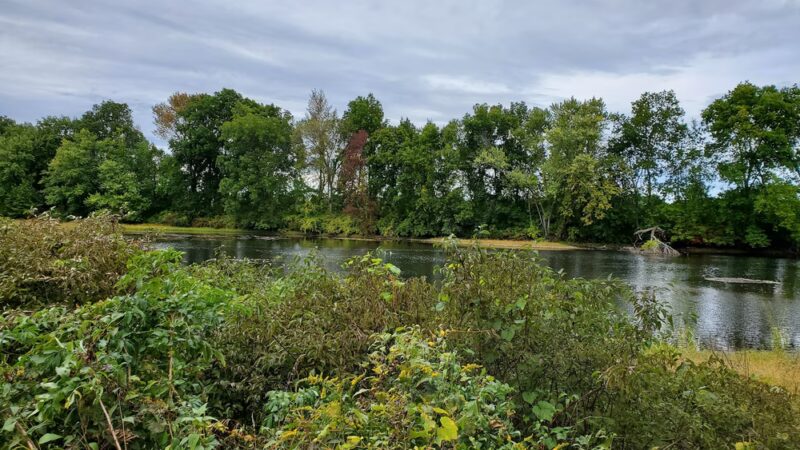 Nancy Conklin Nature Trail - Farmington, CT
