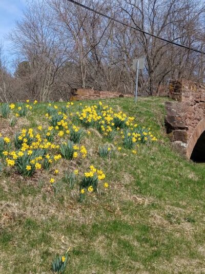 Nancy Conklin Nature Trail - Farmington, CT