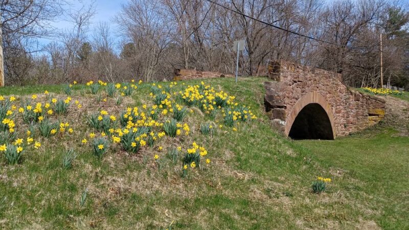 Nancy Conklin Nature Trail - Farmington, CT
