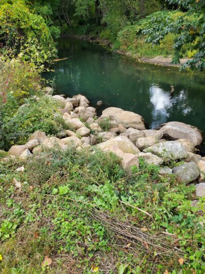 Nancy Conklin Nature Trail - Farmington, CT