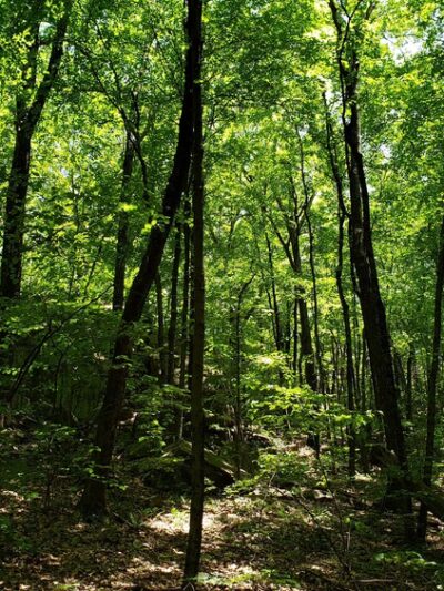 Parking for Metacomet Trail - Farmington, CT