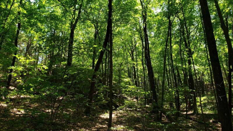 Parking for Metacomet Trail - Farmington, CT