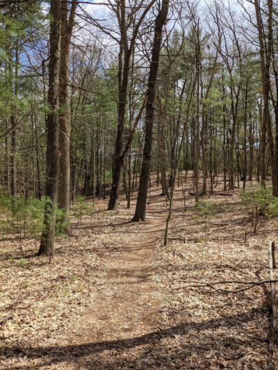 Shade Swamp - Farmington, CT