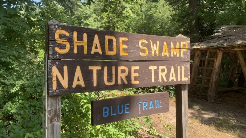 Shade Swamp - Farmington, CT