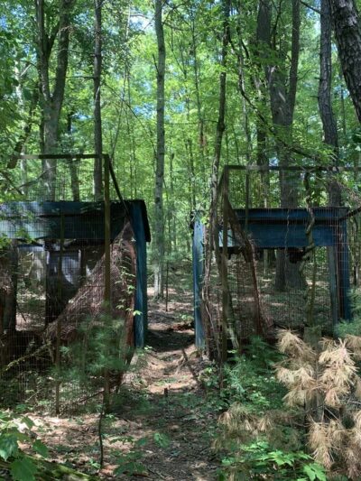 Shade Swamp - Farmington, CT