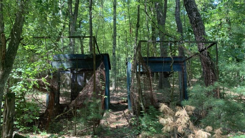 Shade Swamp - Farmington, CT