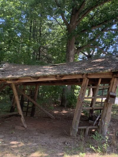 Shade Swamp - Farmington, CT