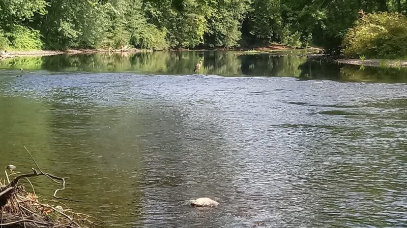 Tunxis Mead Athletics Fields - Farmington, CT