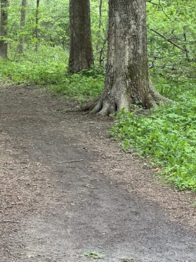 Tunxis Mead Thomas J. Quirk Park - Farmington, CT